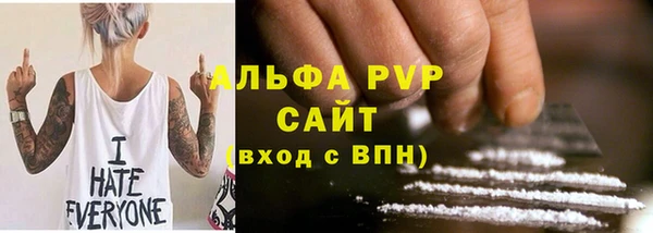 стаф Каменка