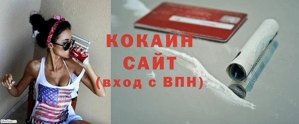 стаф Каменка