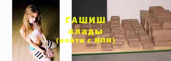 стаф Каменка
