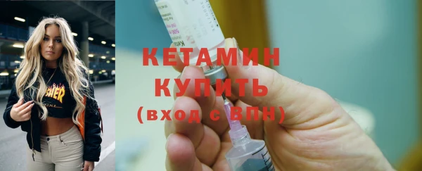 стаф Каменка