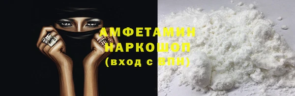 стаф Каменка