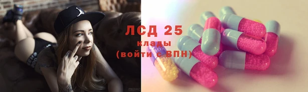 стаф Каменка