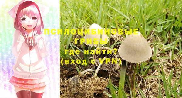 сатива Иннополис