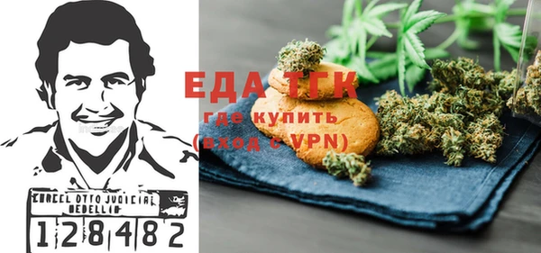 стаф Каменка
