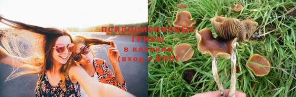 СК Каменск-Шахтинский