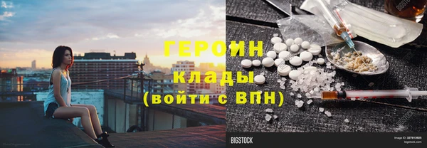прущие грибы Мурманск
